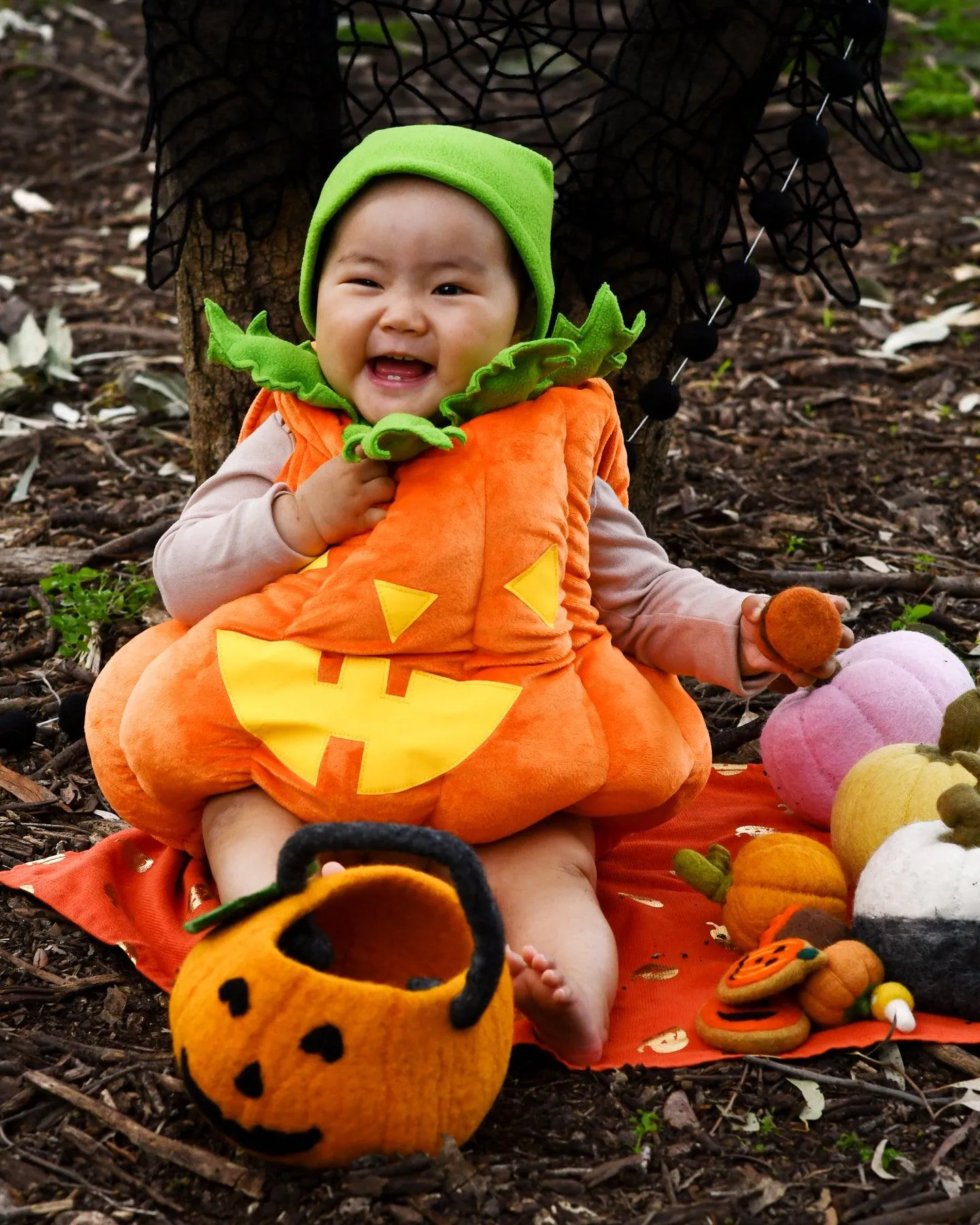 Felt Jack O' Lantern Pumpkin (Trick-Or-Treat) Grazing Set