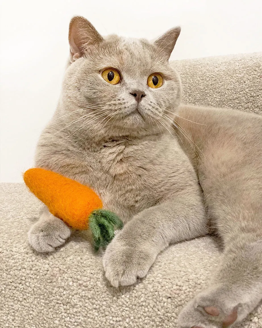 KITTY CARROT