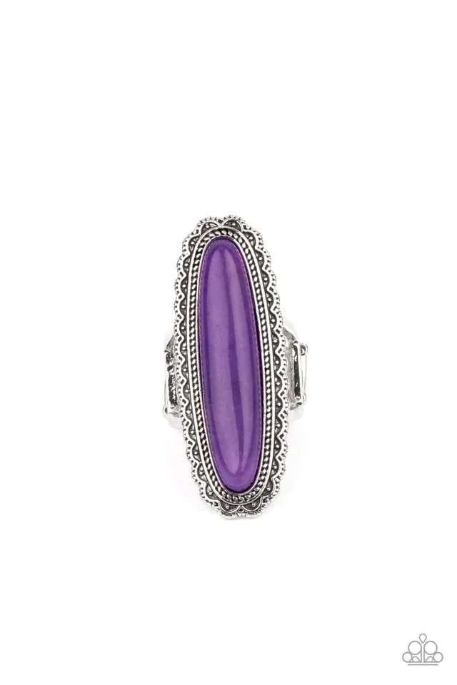 Paparazzi Ring ~ Eco Equinox - Purple